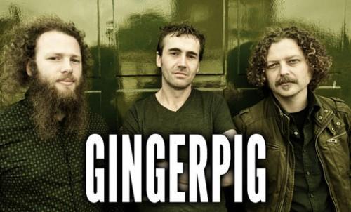 Gingerpig - Discography (2011 - 2015)