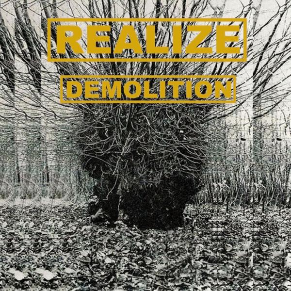 Realize - Demolition