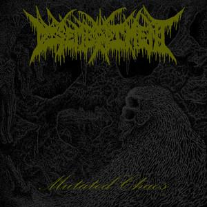 Disembodiment - Mutated Chaos (EP)