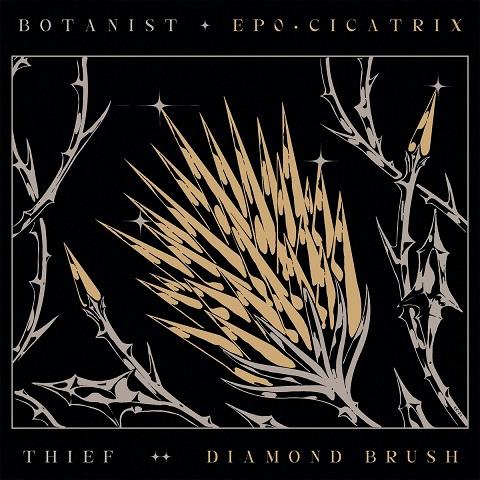 Thief &amp; Botanist - Cicatrix &amp; Diamond Brush (Split)