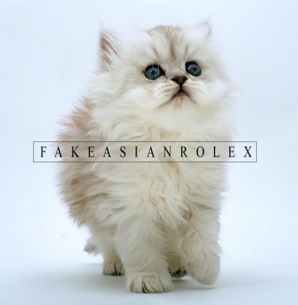 Fake Asian Rolex - Discography (2012 - 2014)