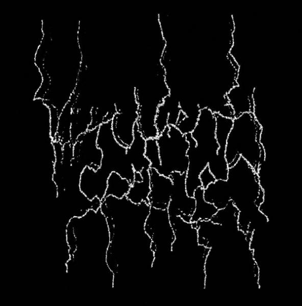Virulent Specter - Discography (2017 - 2022)