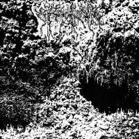 Ctenizidae - Undimensional Wasteland Of Plague &amp; Withering Throats  Undimensional Wasteland Of Plague &amp; Withering Throats