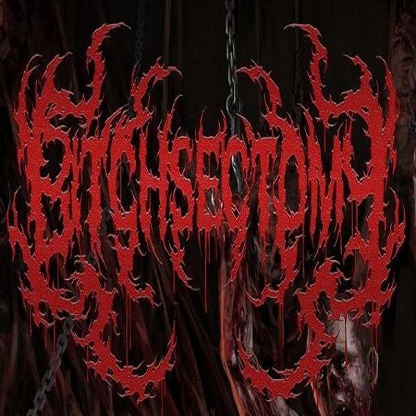 Bitchsectomy - Discography (2019-2023)
