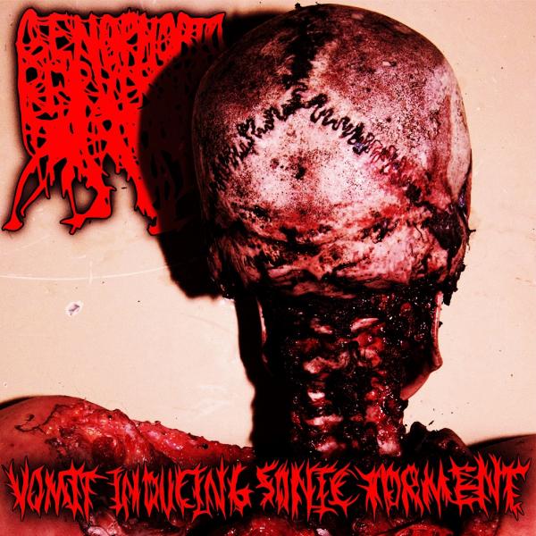 Genophobic Perversion - Vomit Inducing Sonic Torment