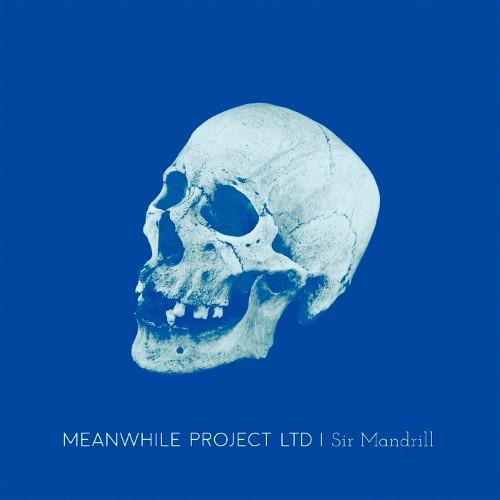 Meanwhile Project Ltd - Sir Mandrill (Upconvert)