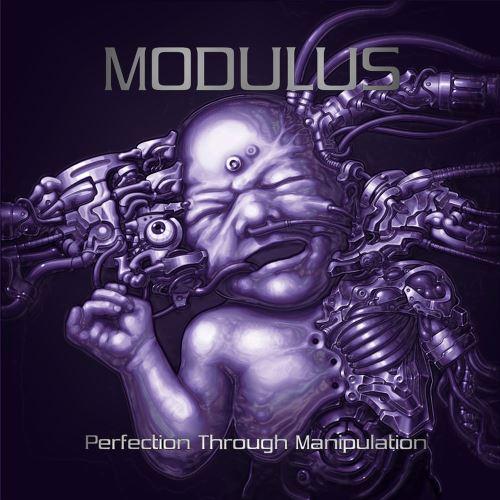 Modulus - Perfection Through Manipulation