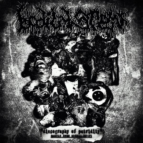 Bodily Stew - Discography of Putridity (2022-2023) (Compilation) (Upconvert)