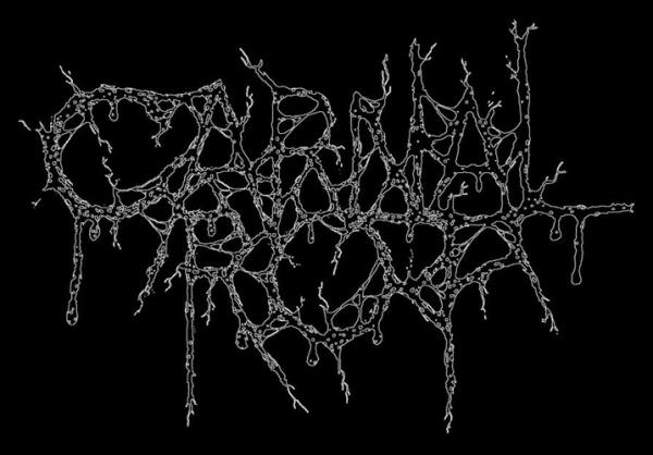 Carnal Rot - Discography (2023 - 2024) (Lossless)