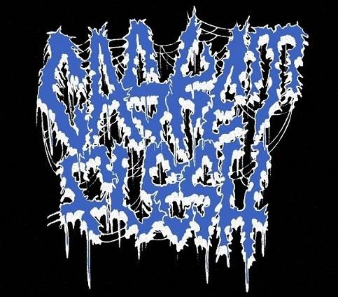 Casket Flesh - Discography (2023 - 2024) (Lossless)