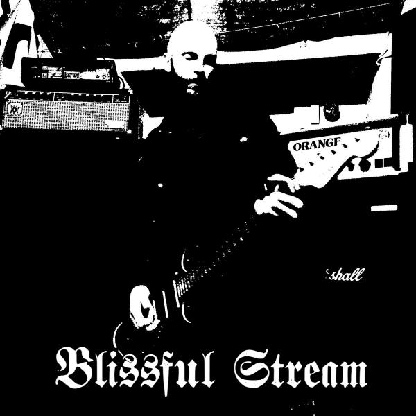 Blissful Stream - Discography (2017 - 2024) (Lossless)