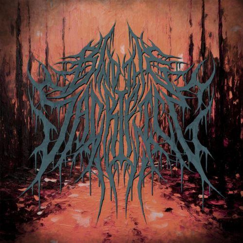 Bind The Sacrifice - Discography (2017 - 2025)