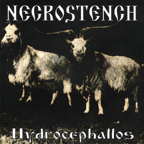 Necrostench - Hydrocephallos (Upconvert)
