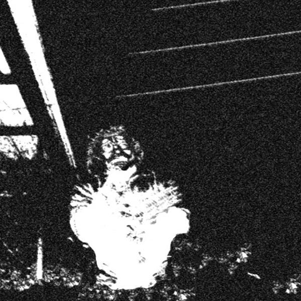 Animal Man Machine - Discography (2020 - 2025)