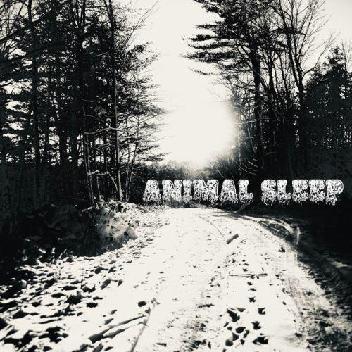 Animal Sleep - Discography (2023 - 2025)