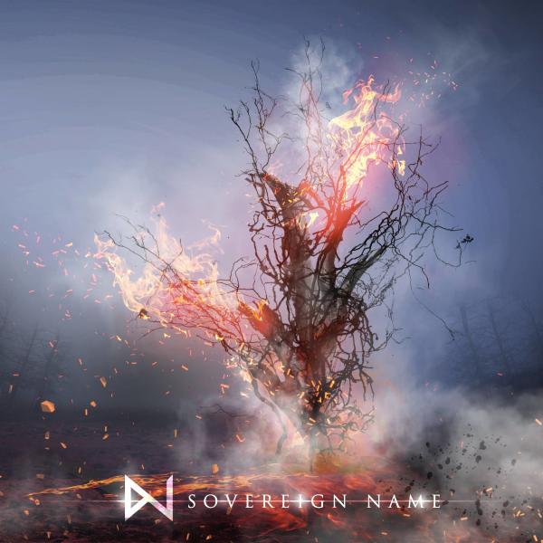 Whitenoiz - Sovereign Name