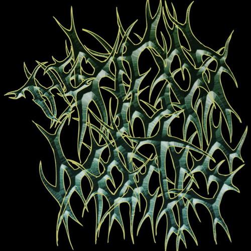 The Rigor Mortis - Discography (2005 - 2014)