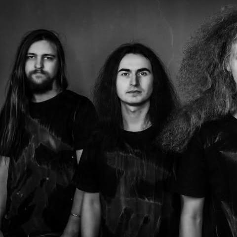 Terror Activator - Discography (2019 - 2025)