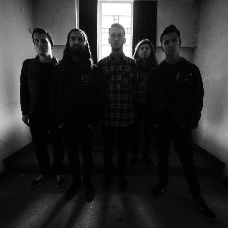 Palm Reader - Discography (2013 - 2020) (Lossless)