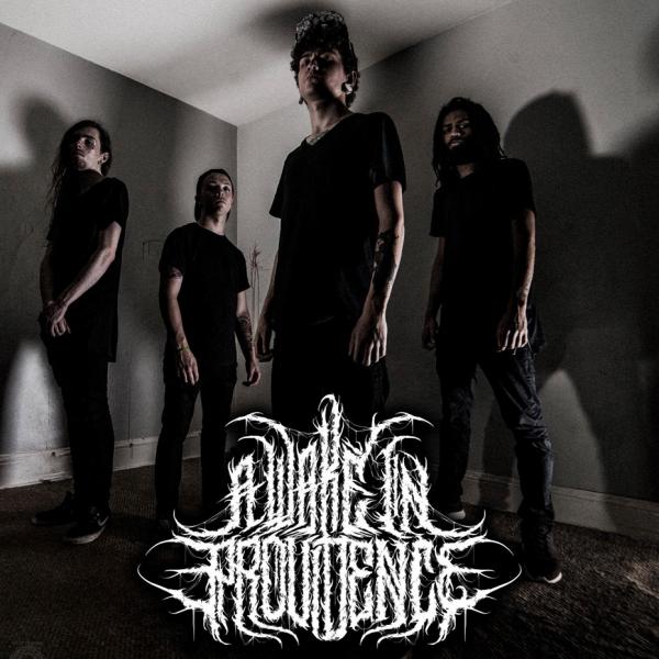 A Wake In Providence - Discography (2012 - 2024) (Lossless)