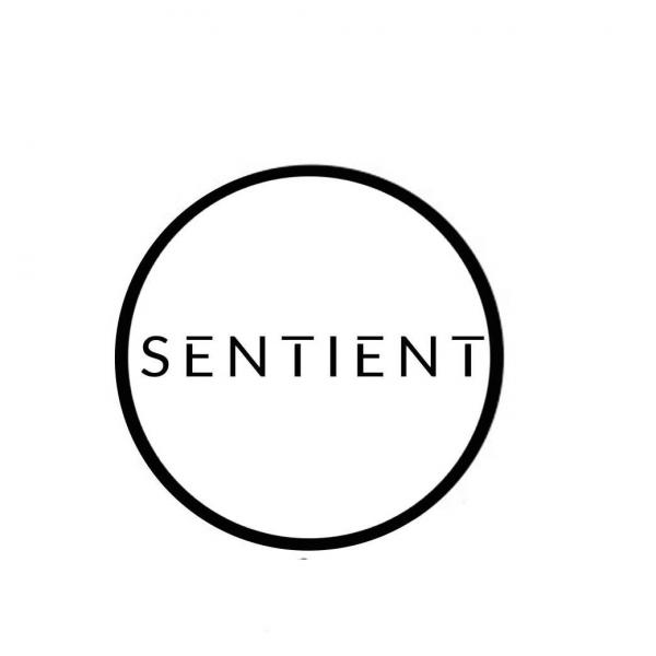 Sentient - Discography (2023 - 2025)