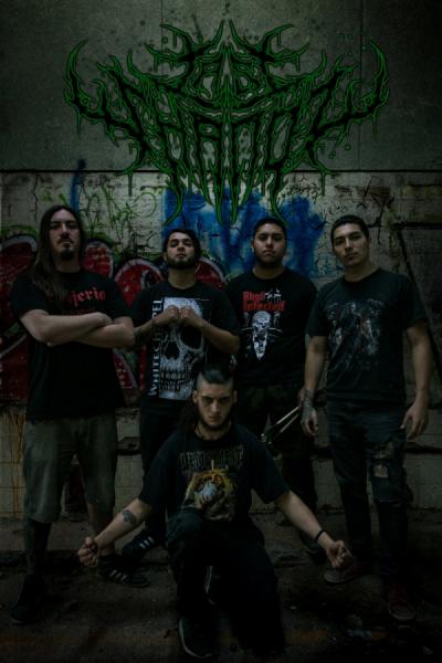 Last Shadow - Discography (2020 - 2025)