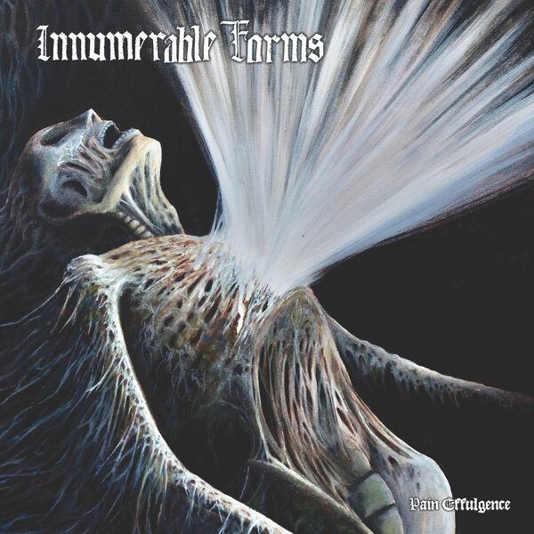 Innumerable Forms - Pain Effulgence (Lossless)