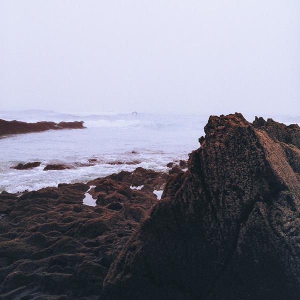 Coltaine - Discography (2023 - 2025) (Lossless)