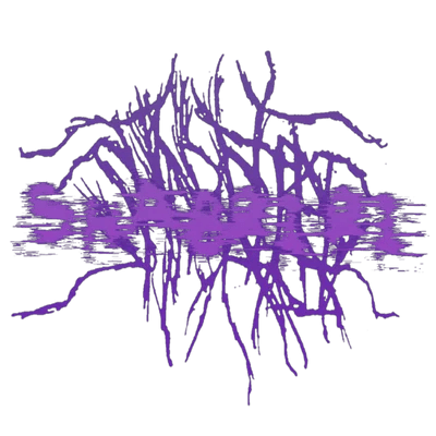 Shabriri - Discography (2024 - 2025)