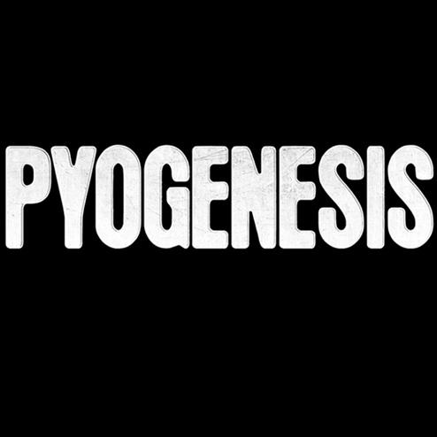 Pyogenesis - Discography (1995 - 2020) (Lossless)