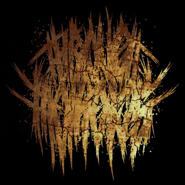 Through Their Eyes - Discography (2022 - 2025)