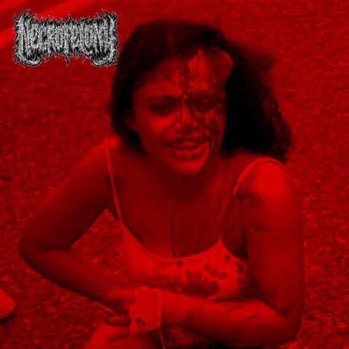 Necrofelony - Discography (2024 - 2025)