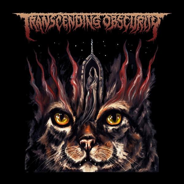 Various Artists - Transcending Obscurity-Label Sampler (Compilation) (2018 - 2025)