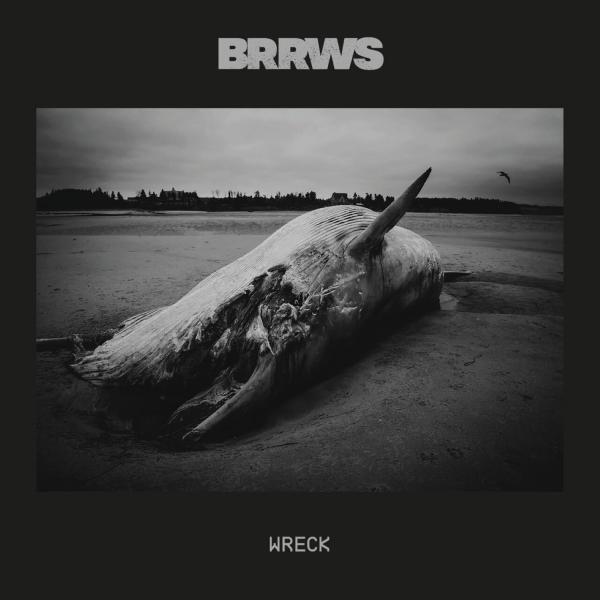 Brrws - Discography (2023 - 2024) (Lossless)