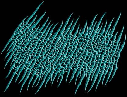 Muramasa - Discography (2020 - 2025)