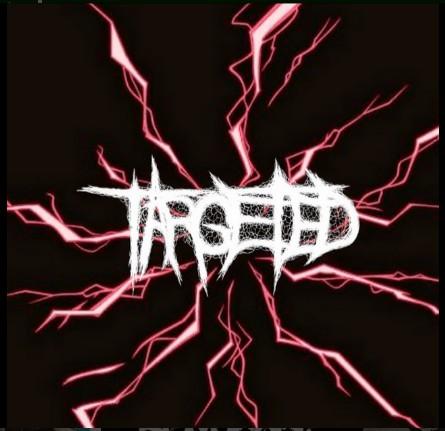 Targeted - Discography (2025) (Upconvert)
