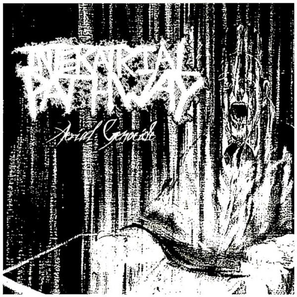 Interatrial Pathway - Aerial Genocide (EP)