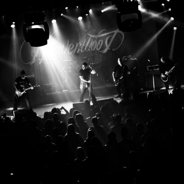 Heavenwood - (as Disgorged) - Discography (1994 - 2025)