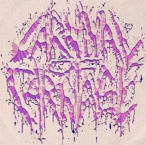 Carnival Of Carnage - Discography (2002 - 2008) (Lossless)