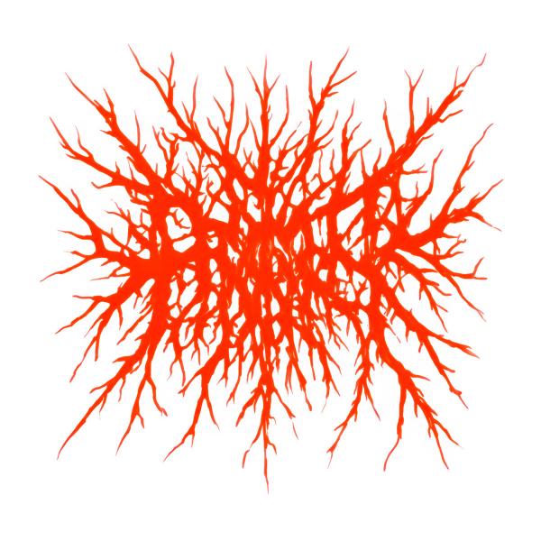 The Primer - Discography (2022 - 2026)