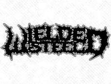 Wielded Steel - Discography (2022 - 2026)