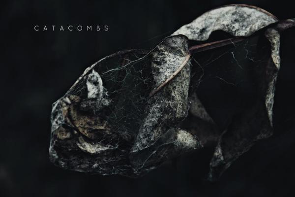 Catacombsca - Discography (2017 - 2026)