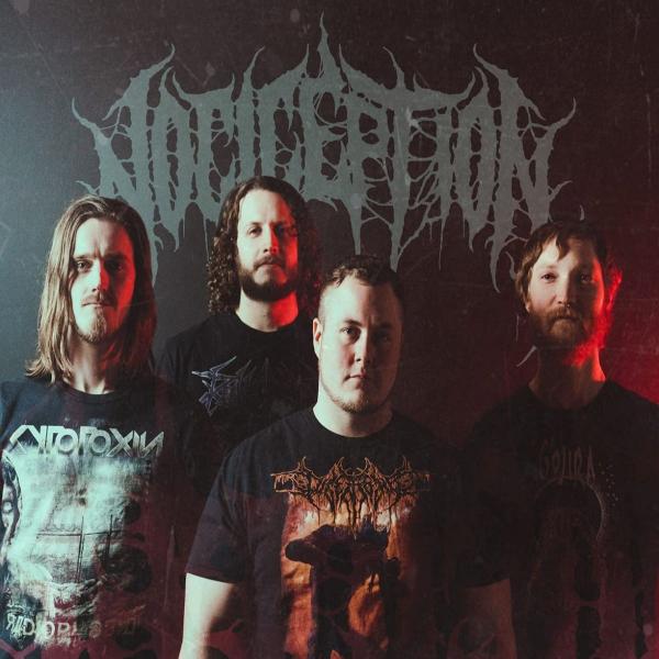 Nociception - Discography (2019 - 2026) (Lossless)