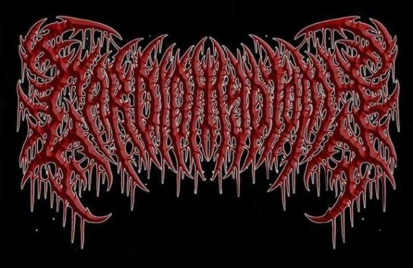 Cardiomyotomy - Discography (2023 - 2026)