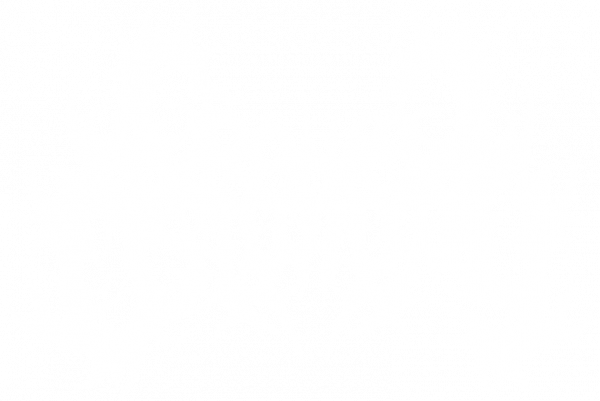 Cranial Osteotomy - Discography (2011 - 2026)