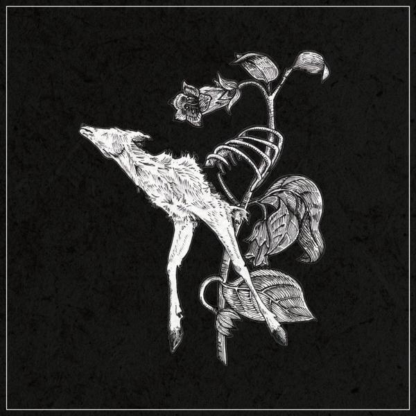 Suicide Forest - Discography (2016 - 2026)