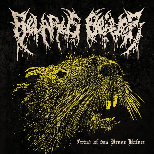 Belarus Beaver - Grind Af Den Brune Bäfver