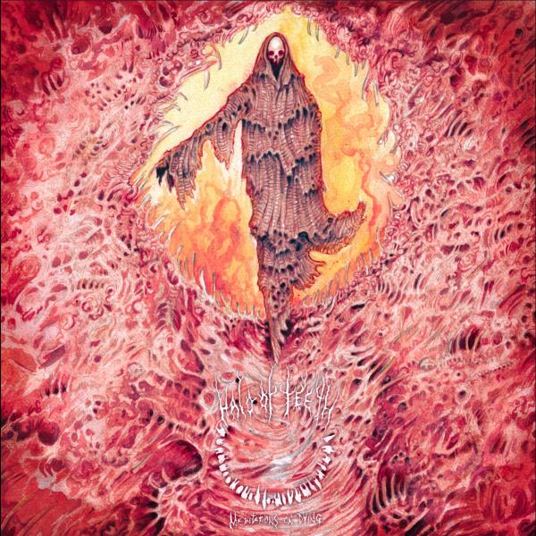 Halo of Teeth - Meditations on Dying