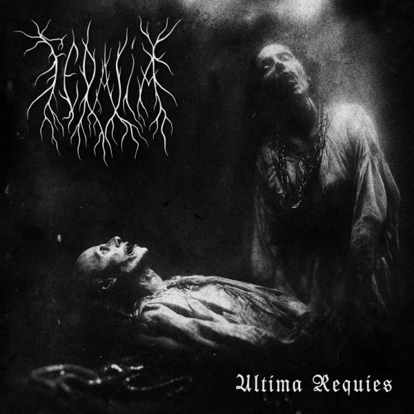 Feralia - Discography (2019 - 2026) (Upconvert)