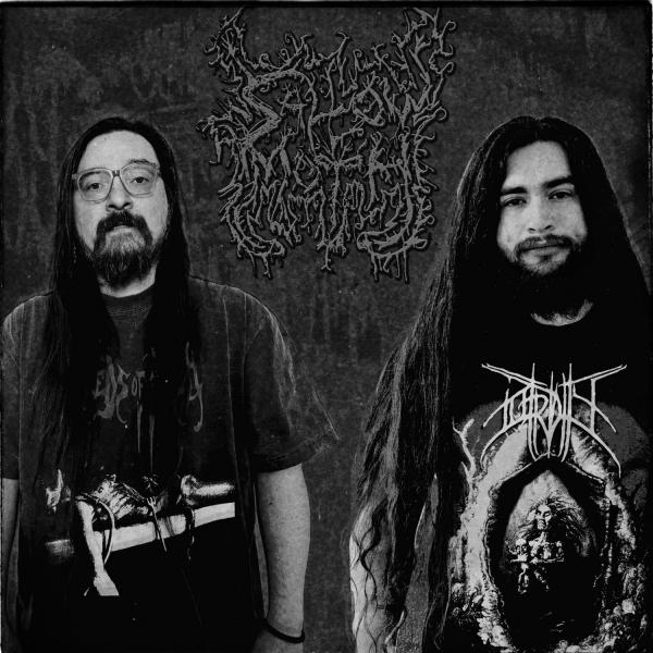 Sallow Moth - Discography (2016 - 2026)